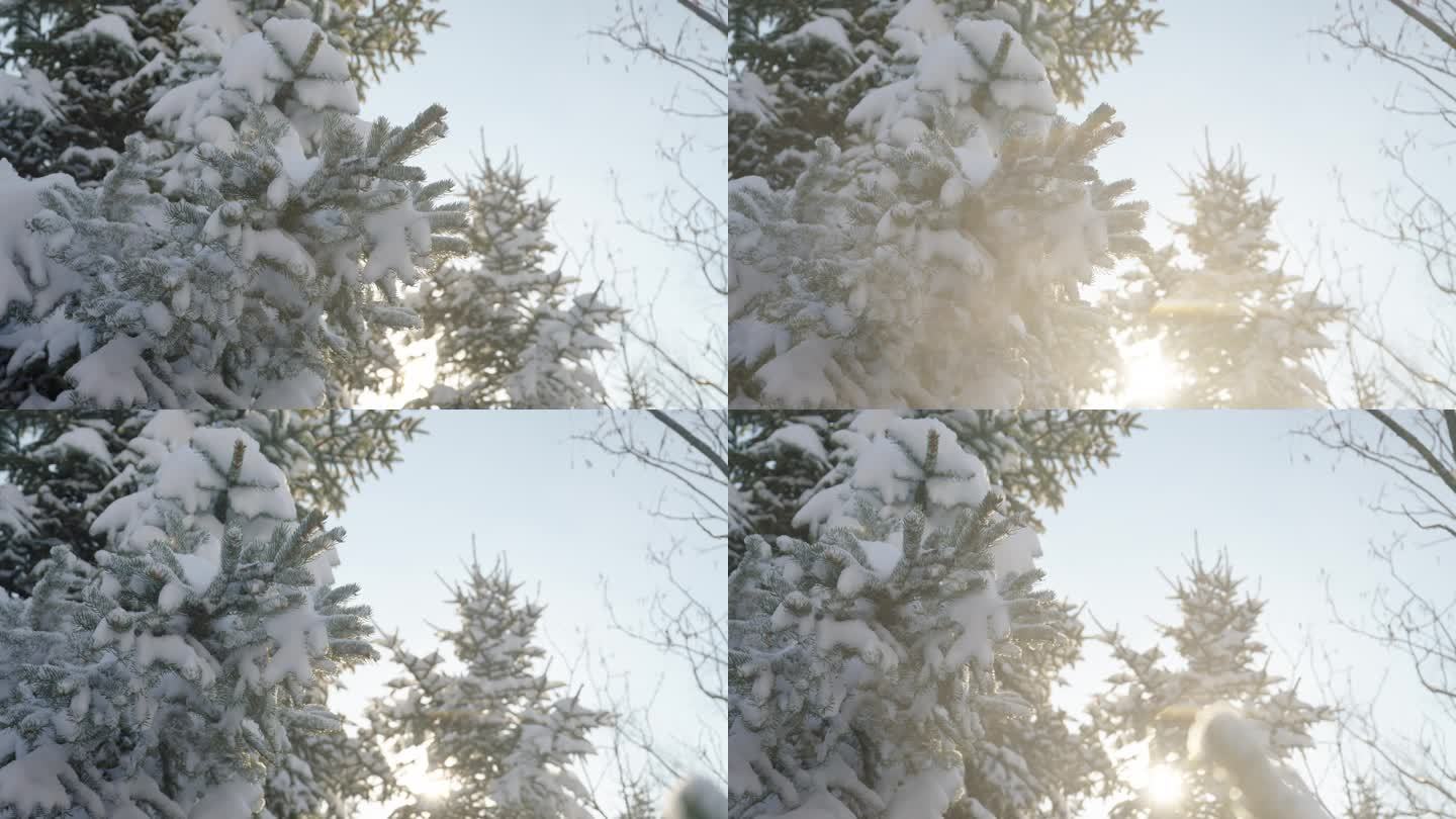 冬季雪景唯美小清新树枝积雪落下空镜升格