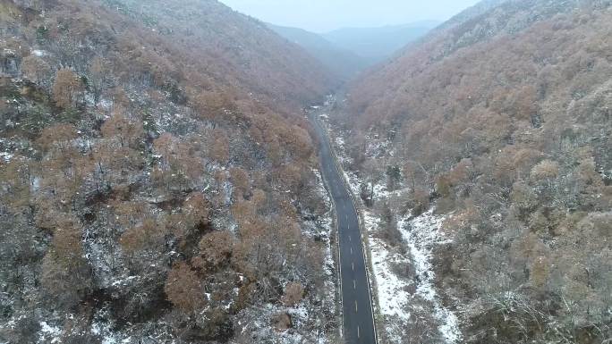 冬天下雪公路国道山区甘山自然景区道路