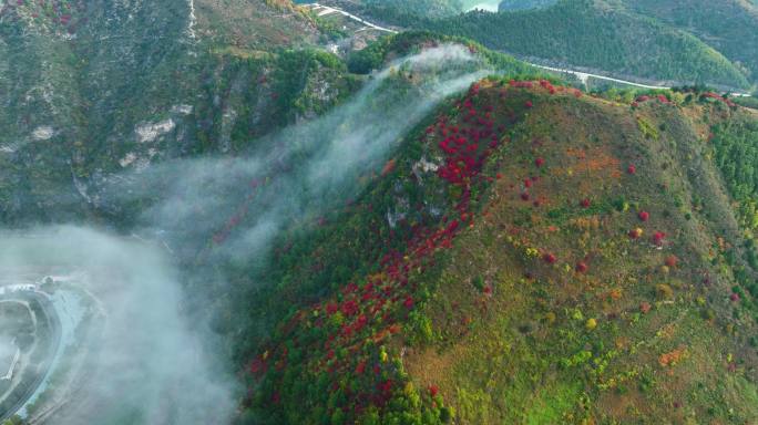 双龙湾东湖岭云海满山红叶震撼航拍群山2