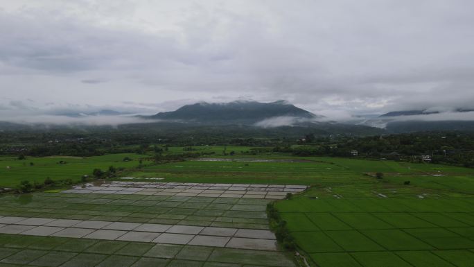 无人机雨雾山农场泰国