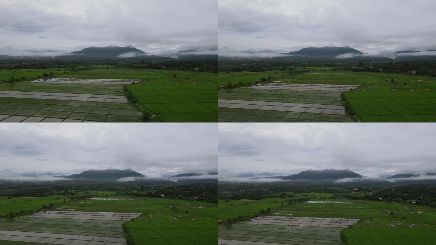 无人机雨雾山农场泰国