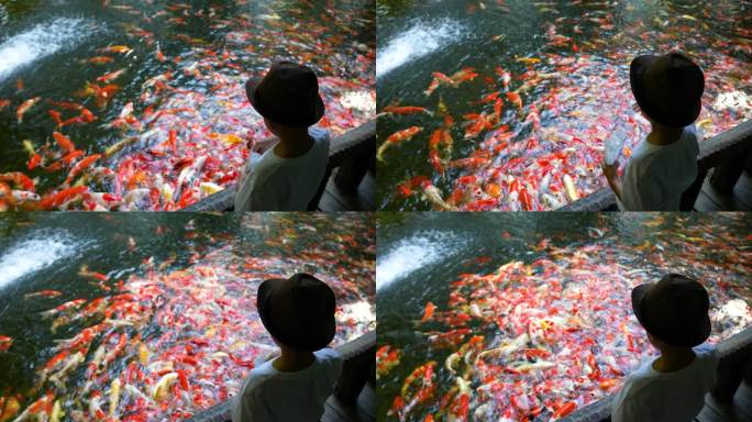孩子和彩色锦鲤鱼在清澈的池塘里。禅与调解的概念