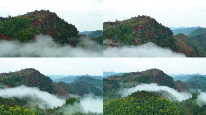 双龙湾东湖岭云海满山红叶震撼航拍群山5