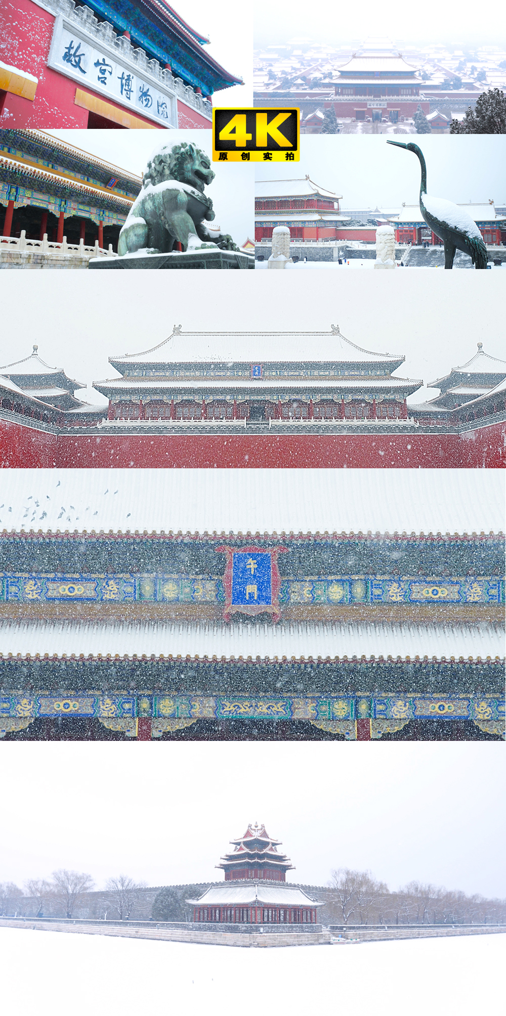 故宫雪景 下雪