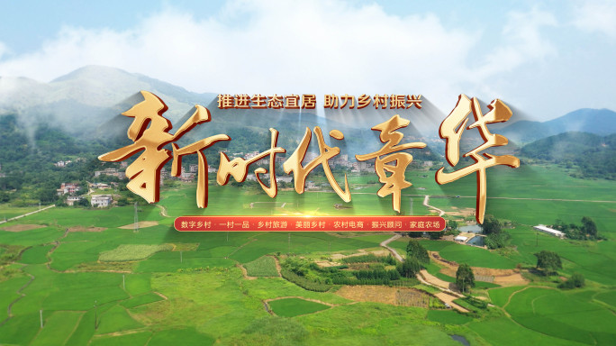 片头《无插件》