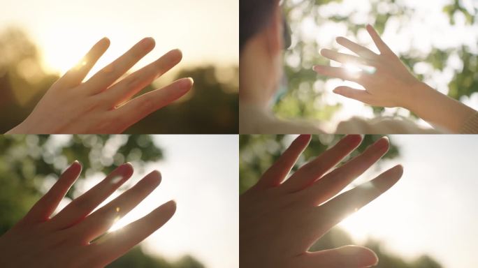 【4K】手触摸阳光