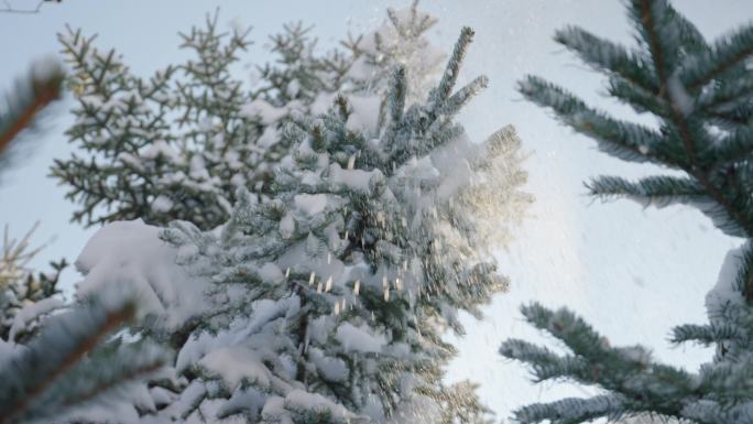 唯美雪景冬季小清新树枝积雪落下空镜