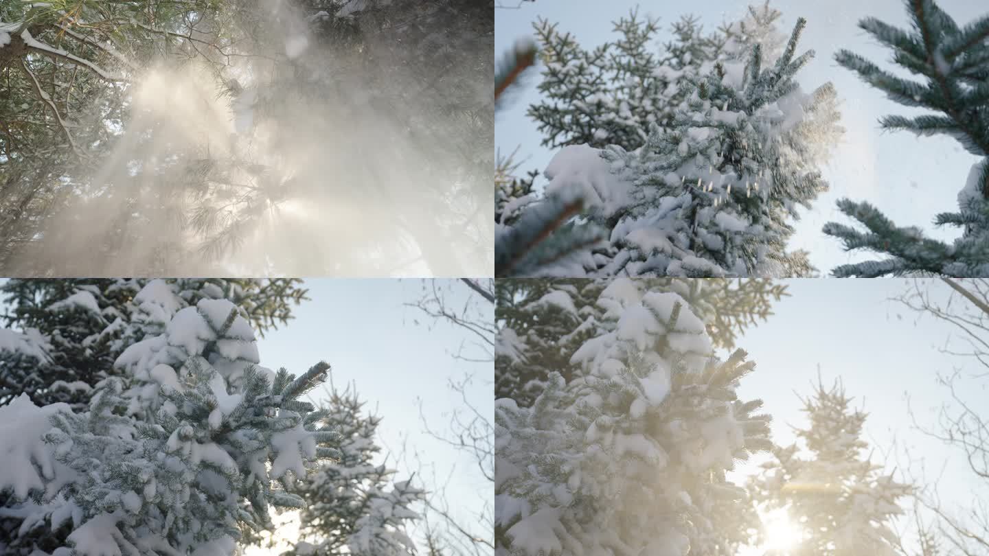 唯美雪景冬季小清新树枝积雪落下空镜