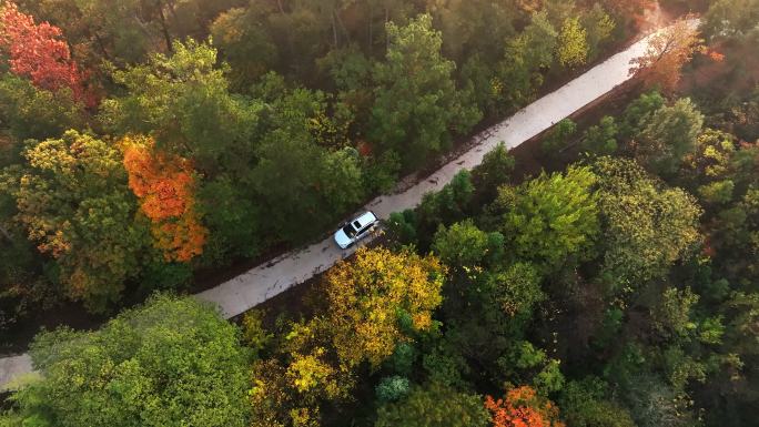 4K秋天森林公路行驶的汽车航拍合集