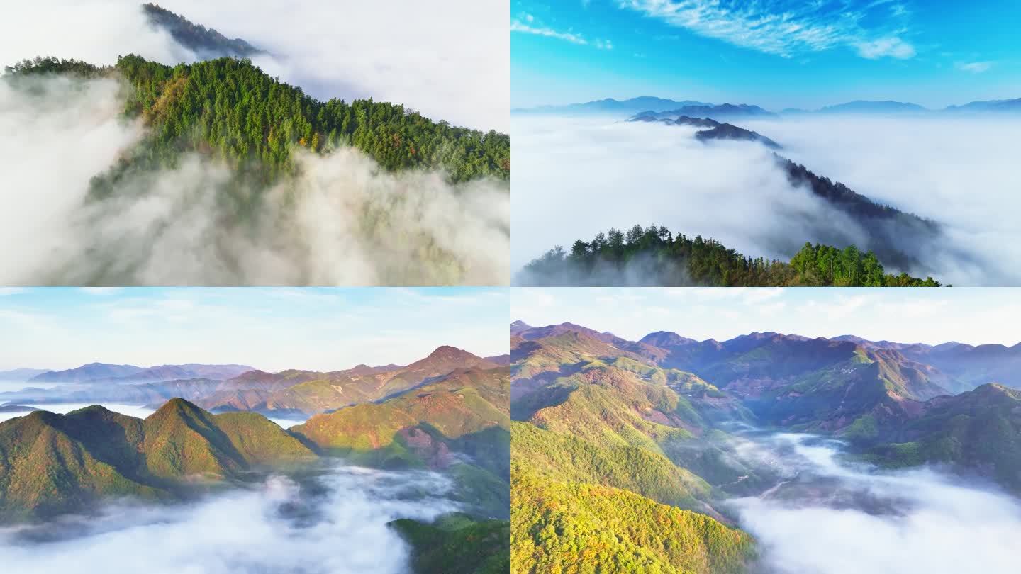 浙江天目山山川云海