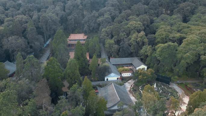 森林寺庙视频云南楚雄武定狮子山正续禅寺