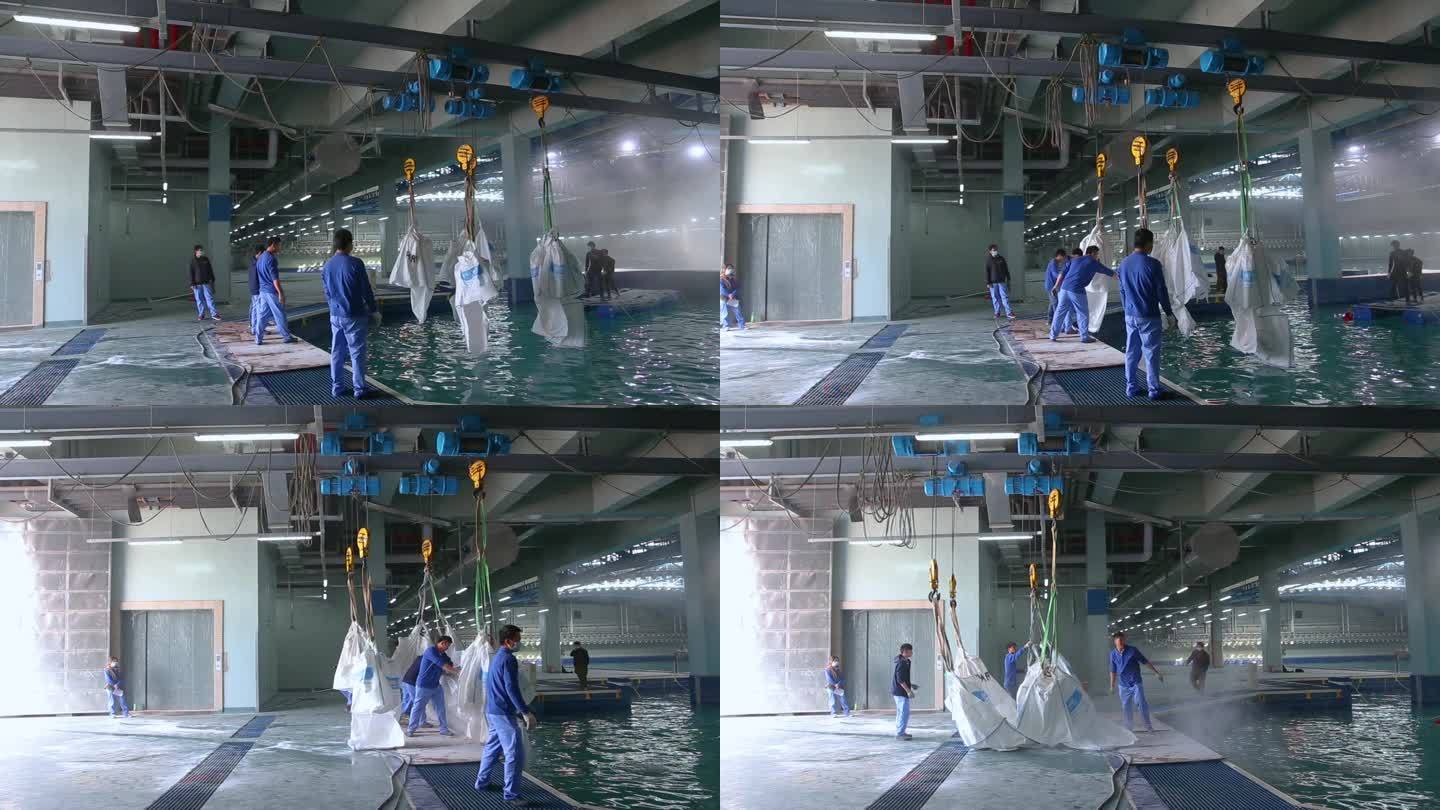 海洋馆 水质改造 投放海盐 工程建设