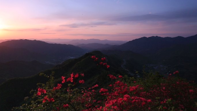 大山 晚霞 杜鹃花