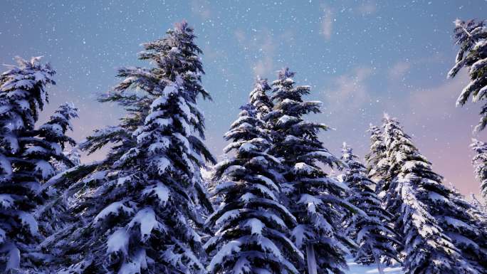 仙境雪景松树仰拍