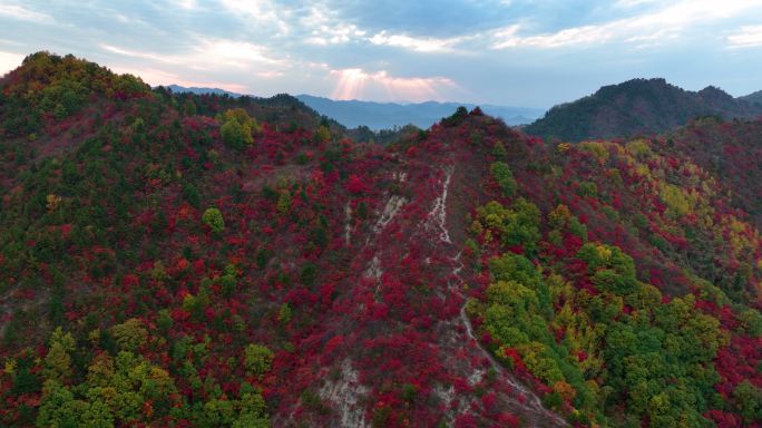 大山里满山红叶丁达尔光线群山航拍空镜14