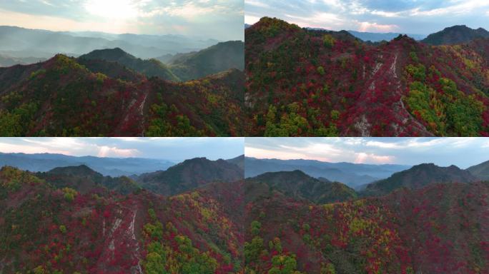 大山里满山红叶丁达尔光线群山航拍空镜14