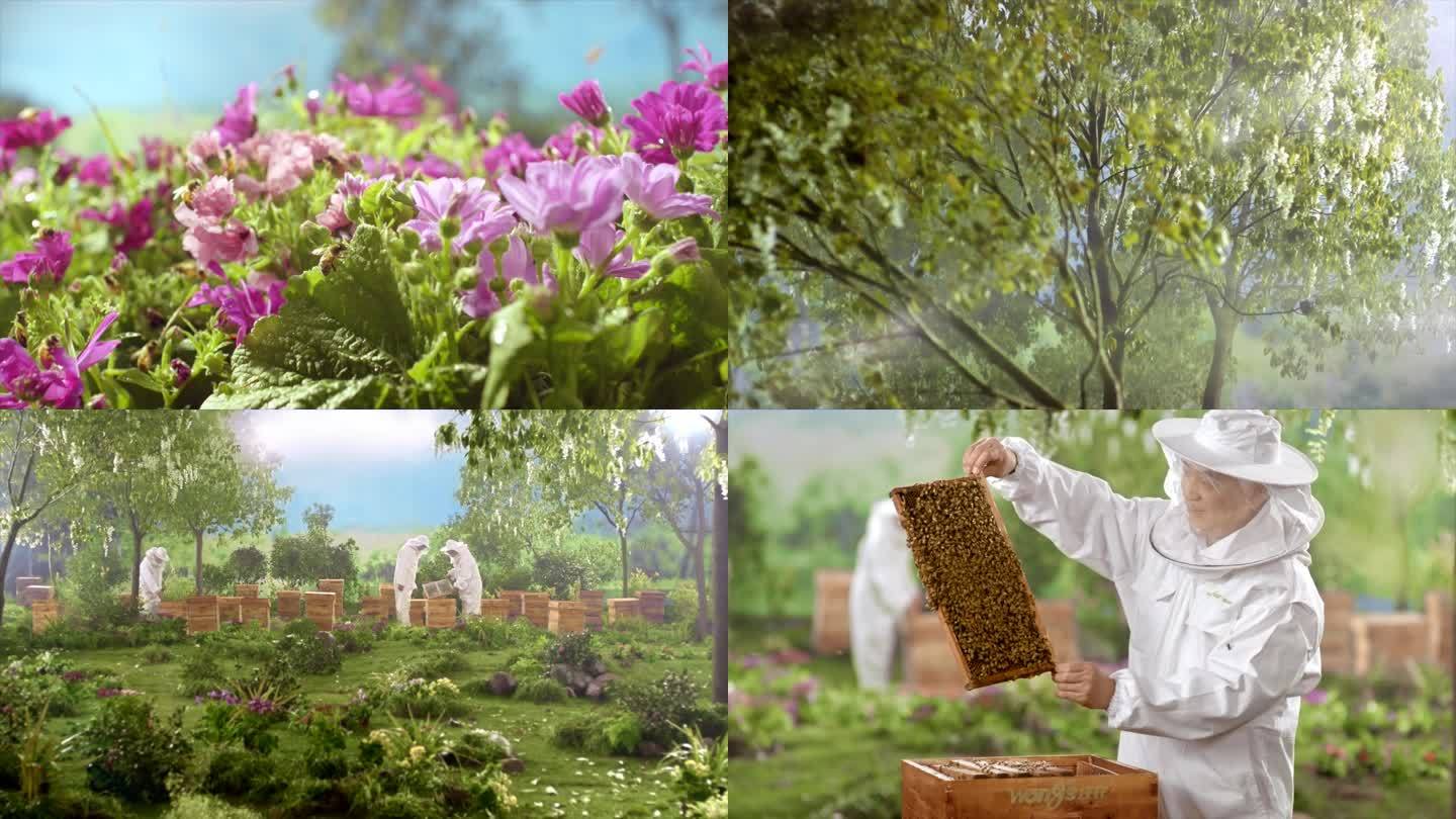 原创MINI拍摄蜜蜂采蜜蜂农割蜜合集4K