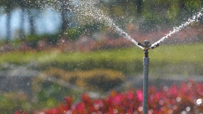 自动化灌溉  喷灌喷头 洒水 花草 绿化