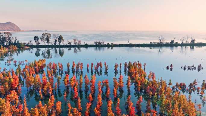 初冬时节的南滇池国家湿地公园