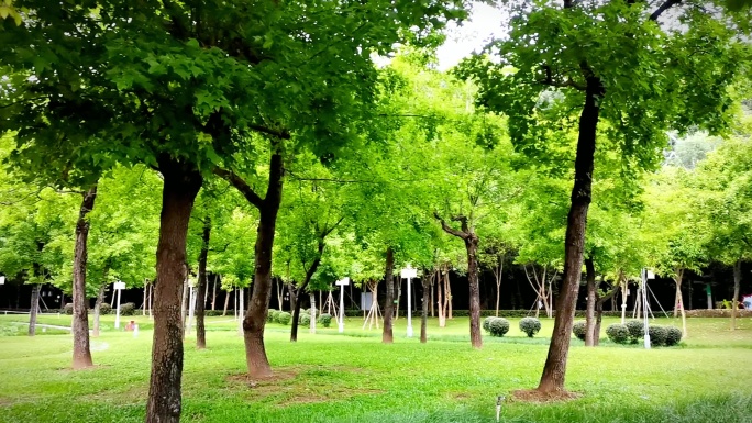 公园草地树木自然景观素材