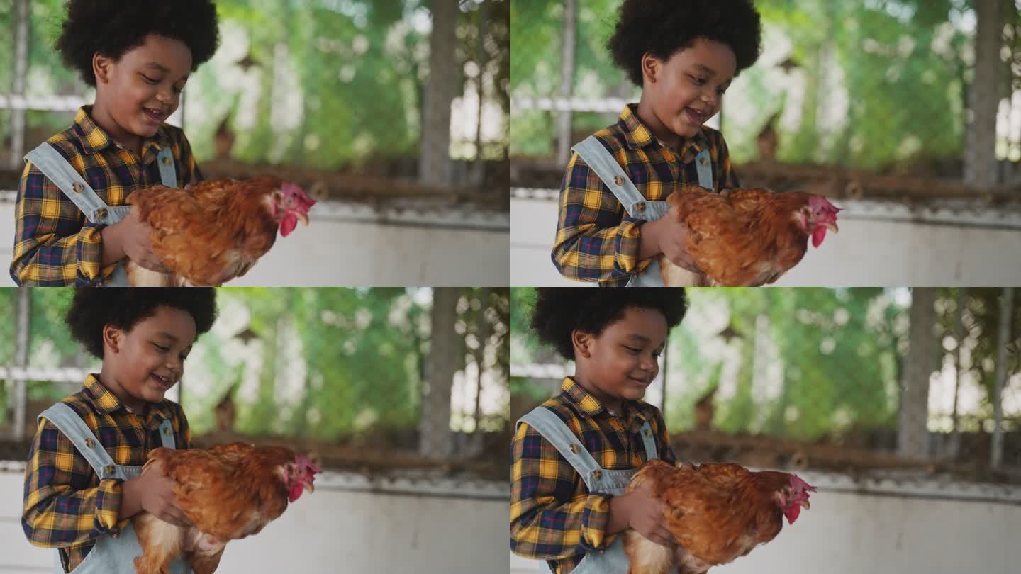 养鸡场里的非洲男孩和母亲抱着一只鸡