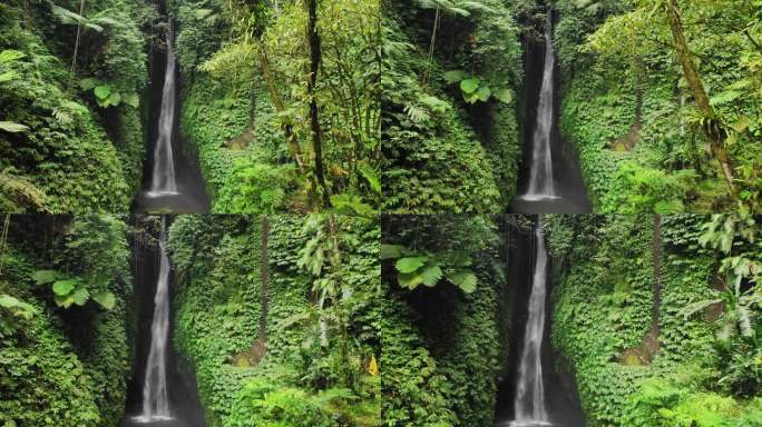 旅拍巴厘岛雨林瀑布航拍绿植山间