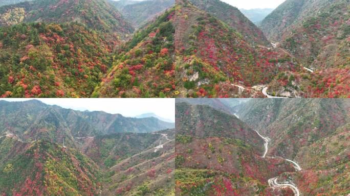 大山里满山红叶群山航拍空镜1