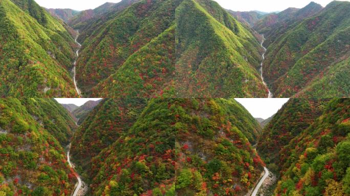 大山里满山红叶群山山路航拍空镜6