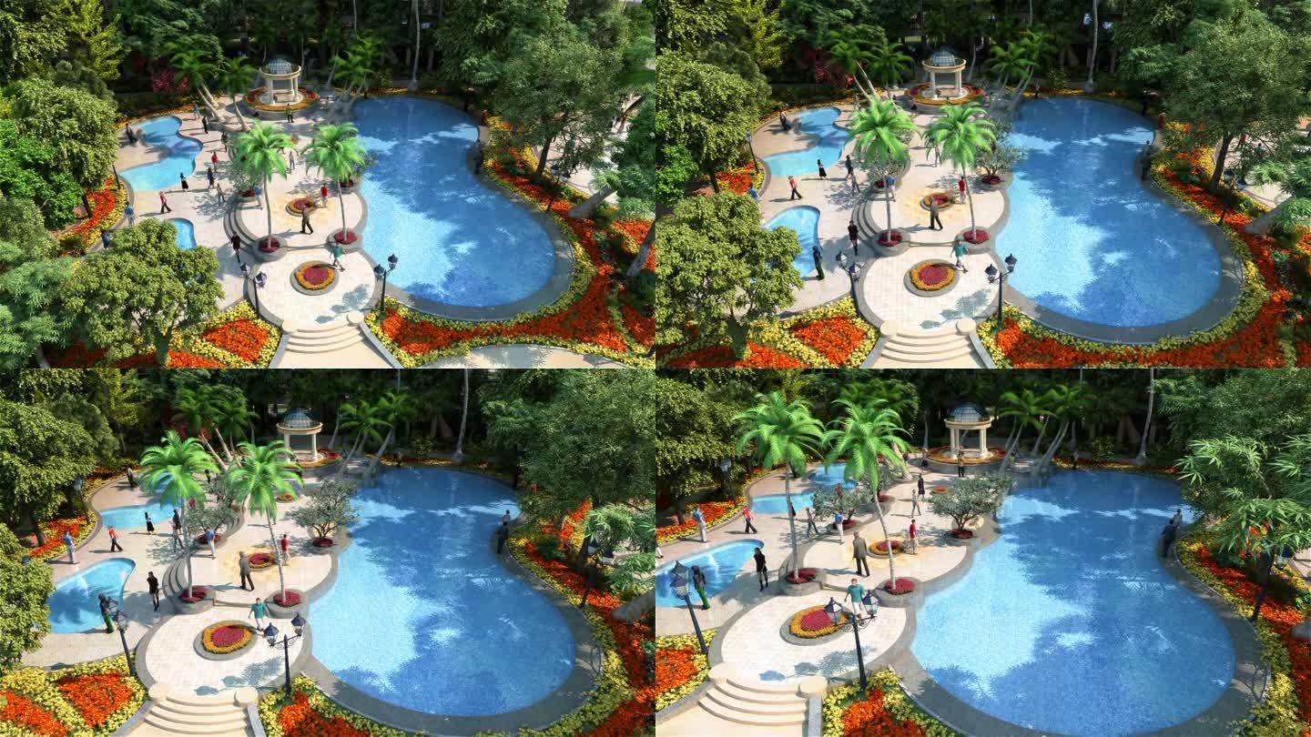 泳池 水池 游泳 热带 空镜 景观带