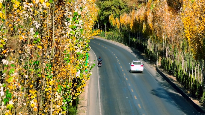 绥德公路