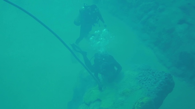 海洋馆 水下清洁 环境改造 潜水员