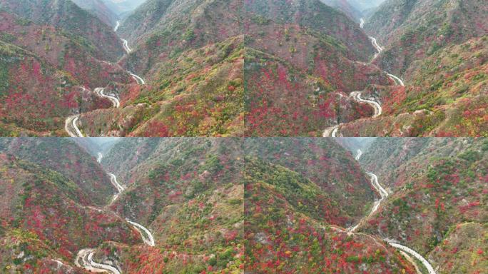 大山里满山红叶群山航拍空镜2