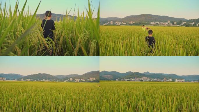 儿童田野里奔跑行走农村生活美丽乡村水稻