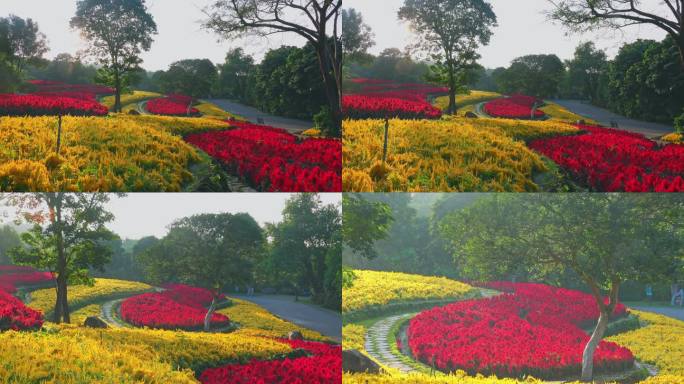 青秀山公园南宁植物园