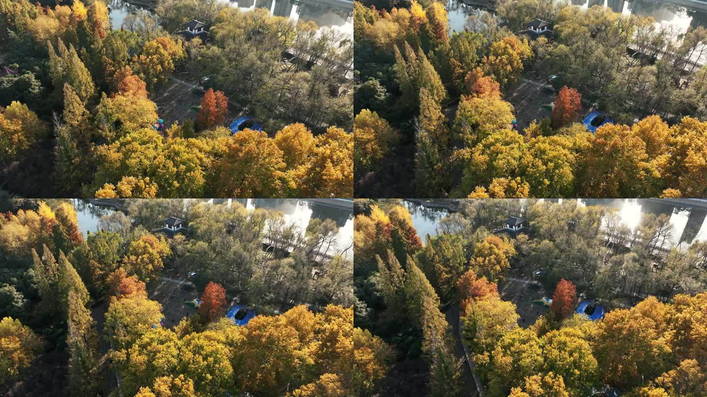 4K河南信阳浉河公园秋天自然风景航拍