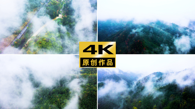 4k森林大自然风景