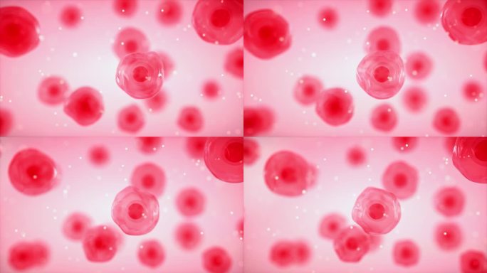 红色化妆品水分子细胞三维动画