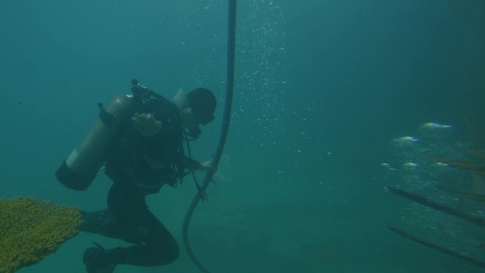 海洋馆 水下清洁 环境改造 潜水员