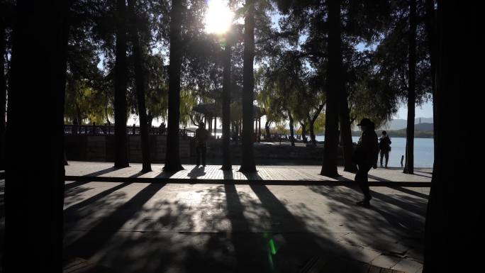 湖边人物剪影阳光透射树林湖面波光粼粼