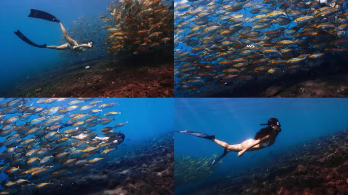 比基尼女生海底自由潜水遇见鱼群