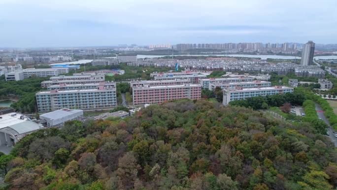 【4K】湖北经济学院