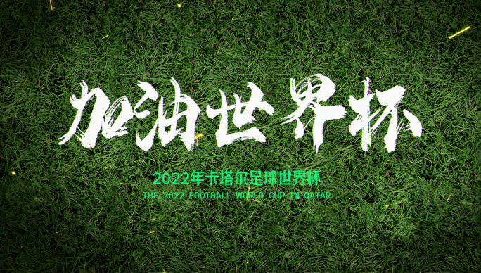 世界杯震憾出场字幕