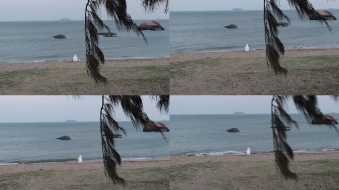 孤独的一个人看海