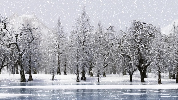 原创宽屏循环冬季下雪天