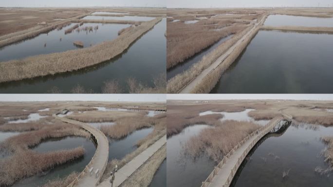 航拍 湿地 水域 芦苇 池塘 西北 秋季