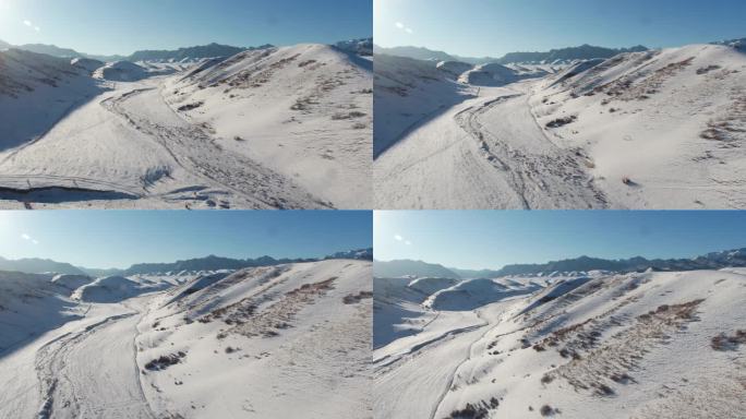 新疆 冰雪 松树 天山 滑雪