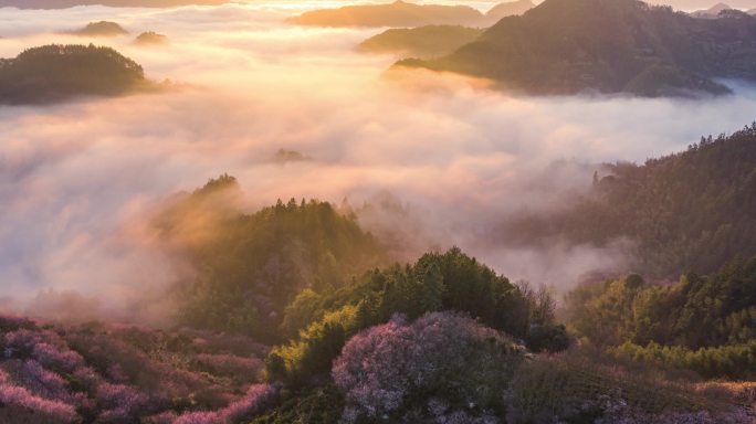 梅花云海航拍延时