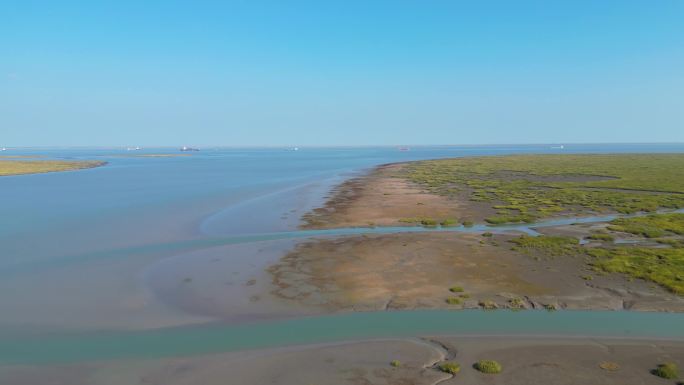 上海九段沙湿地航拍镜头