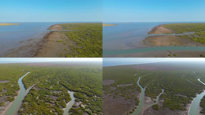 上海九段沙湿地航拍镜头