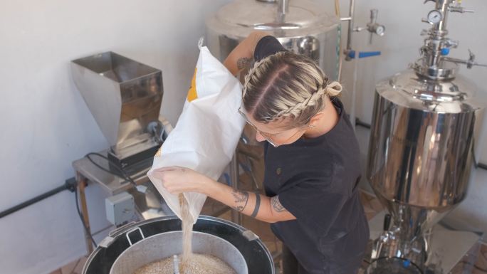 酿酒大师将大麦倒入精酿啤酒的麦芽过程中。